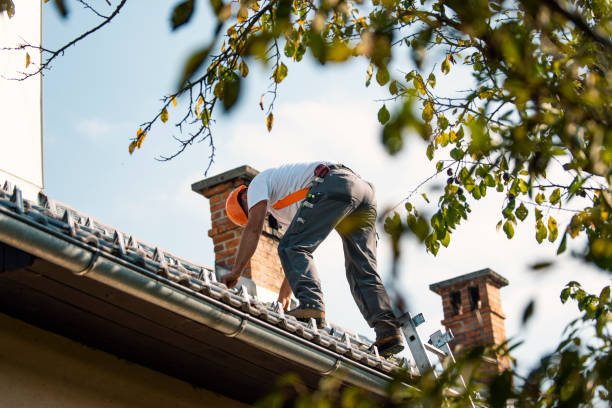 Best Roof Maintenance Services  in Wood Ridge, NJ